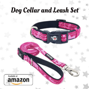 Dog Collar and Leash Set