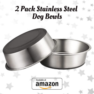 2 Pack Stainless Steel Dog Bowls