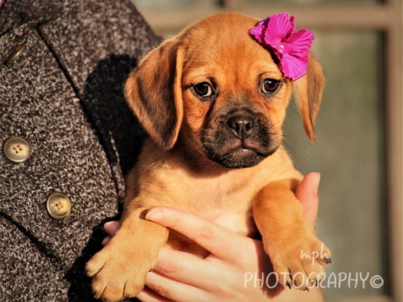 Raelyn image