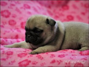 Photo of Zoe