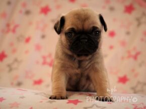 Photo of Maleah