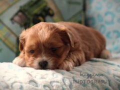 Photo4 for Parker