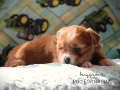 Photo3 for Parker