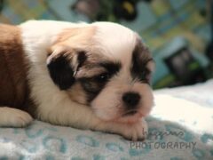 Photo4 for Princeton
