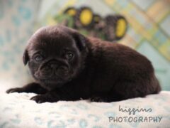Photo1 for Kip