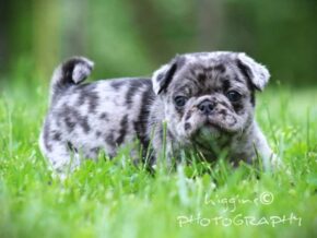Photo of Lane