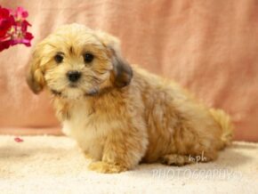Photo of Delilah