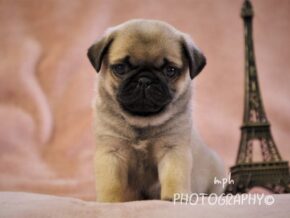Photo of Abbie