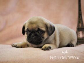 Photo of Abbie
