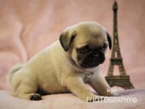 Photo of Abbie