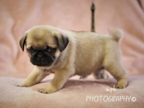 Photo of Abbie