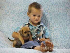 Grayson at Rocky Top Puppies