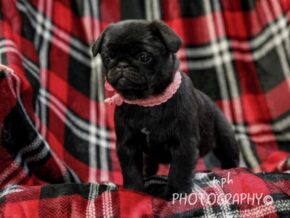 Photo of Chloe