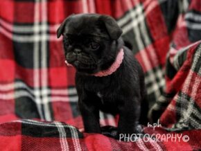 Photo of Chloe