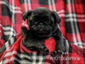 Photo of Chloe