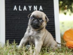 Photo1 for Alayna