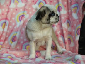 Photo of Shawna