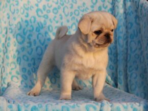 Photo of Sherwin
