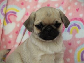 Photo of Sheryl