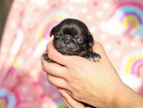Photo of Lulu Jane